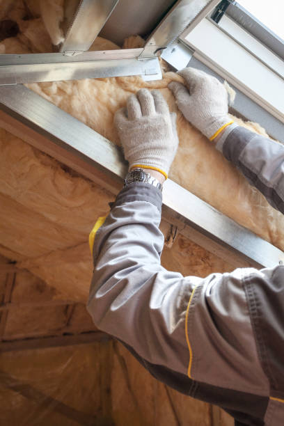 Best Insulation for Metal Buildings  in Romulus, MI