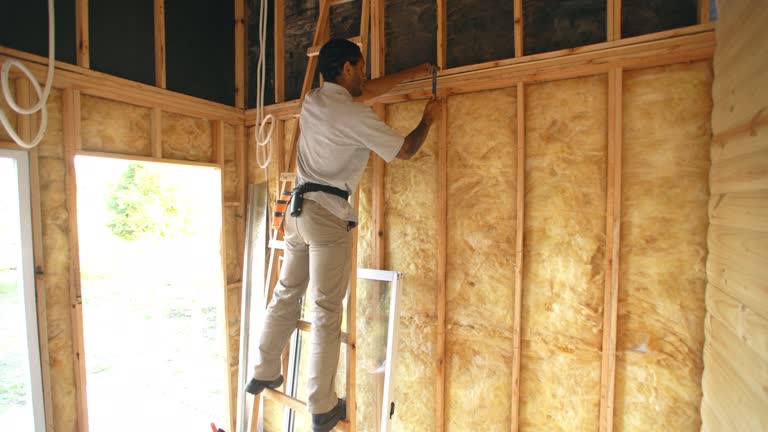 Best Spray Foam Insulation  in Romulus, MI