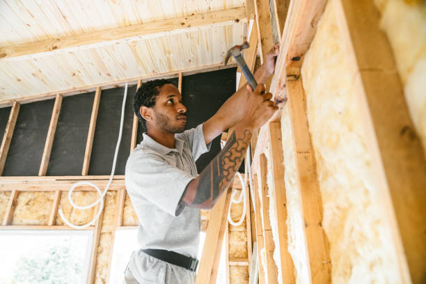 Best Attic Insulation Installation  in Romulus, MI