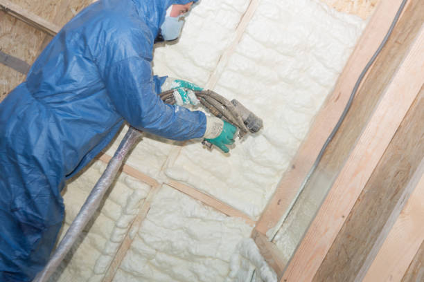 Best Eco-Friendly or Green Insulation Solutions  in Romulus, MI